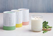 Aromaterapia en Velas de Soya y ¡Nuevo! Set de Regalo Aromaterapia Peace & Calm

Deja que nuestras naturales fragancias infundidas con aceites esenciales puros transformen tu espíritu. Cada vela con pabilo de algodón y cera de soya blanca