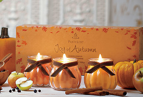 Set de Mini Tarros de Otoño

Cada tarro en forma de calabaza luce una coqueta cinta. Cada set incluye un tarro de las siguientes fragancias: Sidra de Calabaza y Manzana, Luz de Otoño y Calabaza Jengibre. En caja de regalo.